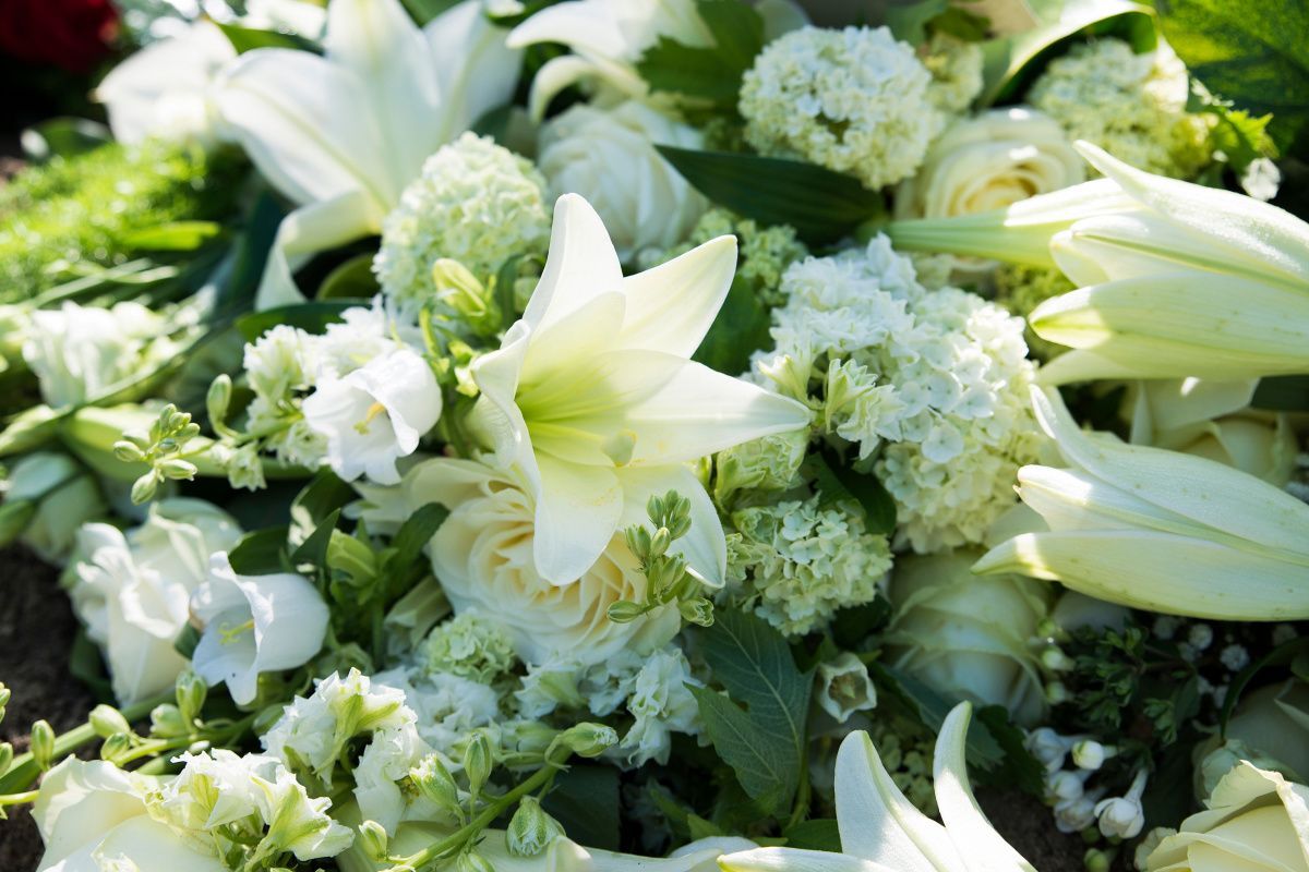 Funeral wakes Taunton.